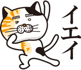 Matsuo' pet ~cat vol02~ sticker #14234847
