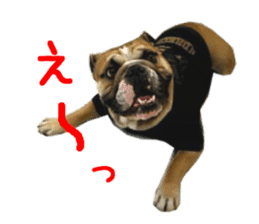 Real DOG Bulldog sticker #14235416
