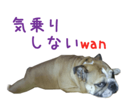 Real DOG Bulldog sticker #14235433