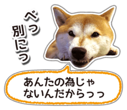 Japanese Shiba Inu hanako5 PhotoSticker sticker #14235517