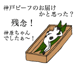 Cow's name is Kanbara sticker #14236386