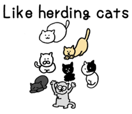 White cat teaches English lesson! sticker #14236713