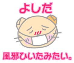 Yoshida Cat Sticker sticker #14237509