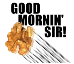 [Live action]3 NUTS sticker #14238402