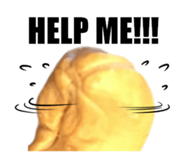 [Live action]3 NUTS sticker #14238408