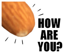 [Live action]3 NUTS sticker #14238410