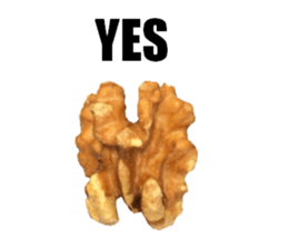 [Live action]3 NUTS sticker #14238412