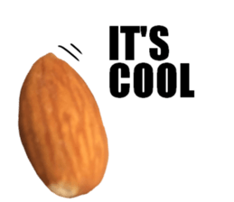 [Live action]3 NUTS sticker #14238415