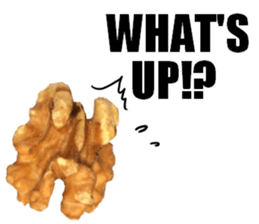 [Live action]3 NUTS sticker #14238420