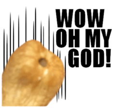 [Live action]3 NUTS sticker #14238421