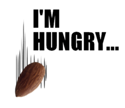 [Live action]3 NUTS sticker #14238426