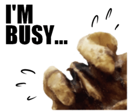 [Live action]3 NUTS sticker #14238428