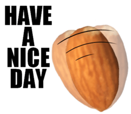 [Live action]3 NUTS sticker #14238429