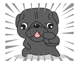 Kuro Pug Animated 3! sticker #14238811