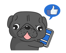 Kuro Pug Animated 3! sticker #14238820