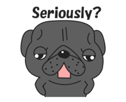 Kuro Pug Animated 3! sticker #14238821