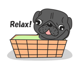 Kuro Pug Animated 3! sticker #14238825