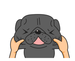 Kuro Pug Animated 3! sticker #14238829