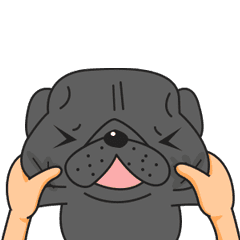 Kuro Pug Animated 3!