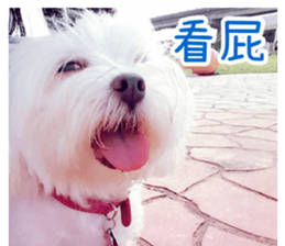 Ms.MARY sticker #14239622