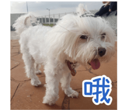 Ms.MARY sticker #14239623