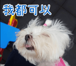 Ms.MARY sticker #14239624