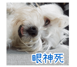 Ms.MARY sticker #14239625