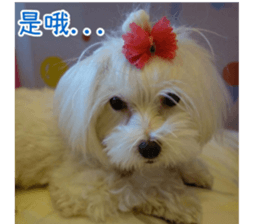 Ms.MARY sticker #14239626