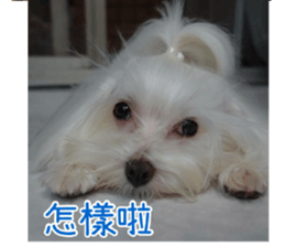 Ms.MARY sticker #14239627