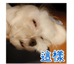 Ms.MARY sticker #14239628