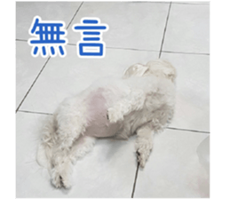 Ms.MARY sticker #14239629