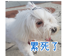 Ms.MARY sticker #14239630