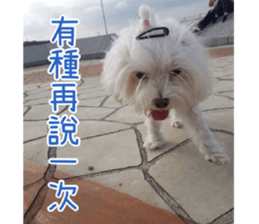 Ms.MARY sticker #14239631