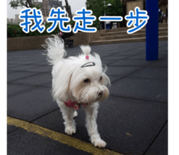 Ms.MARY sticker #14239632