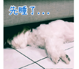 Ms.MARY sticker #14239633