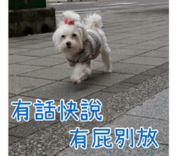 Ms.MARY sticker #14239634