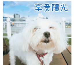 Ms.MARY sticker #14239636