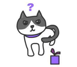 In the Box sticker #14239643