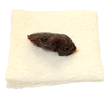 He is plain bread sticker #14239766