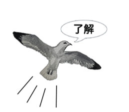 Mainly Birds.(New Year's & Winter's) sticker #14241302