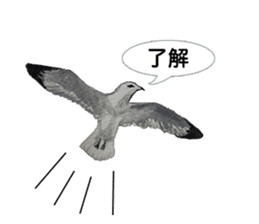 Mainly Birds.(New Year's & Winter's) sticker #14241302