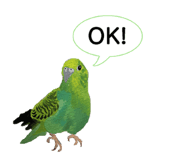 Mainly Birds.(New Year's & Winter's) sticker #14241303