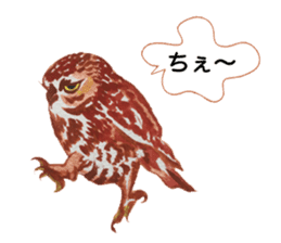 Mainly Birds.(New Year's & Winter's) sticker #14241314