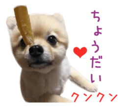 Real DOG Wan de FULL Ver.2 sticker #14241318