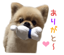 Real DOG Wan de FULL Ver.2 sticker #14241319