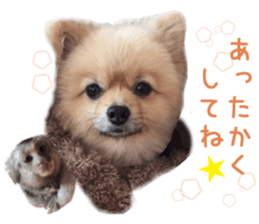 Real DOG Wan de FULL Ver.2 sticker #14241320