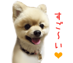 Real DOG Wan de FULL Ver.2 sticker #14241321