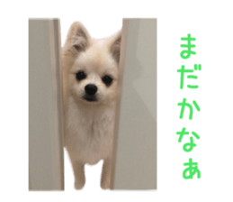 Real DOG Wan de FULL Ver.2 sticker #14241324
