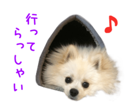 Real DOG Wan de FULL Ver.2 sticker #14241325