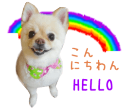 Real DOG Wan de FULL Ver.2 sticker #14241331